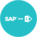 SAP Services